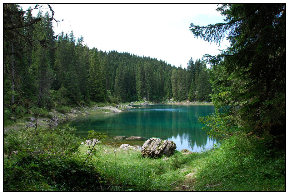 Озеро возле леса. Малое миссное озеро в Челябинской области. Маленькое озеро. Маленькое Лесное озеро. Malenkoe Ozera v lesu.