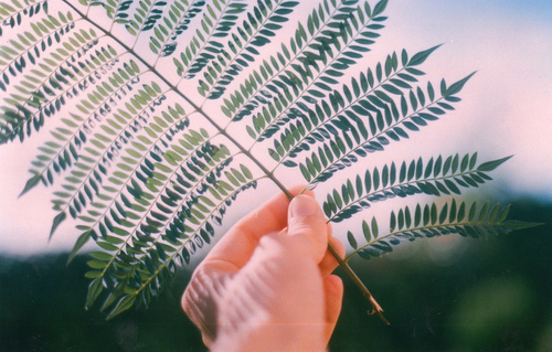 gYE94mCkBb.jpg